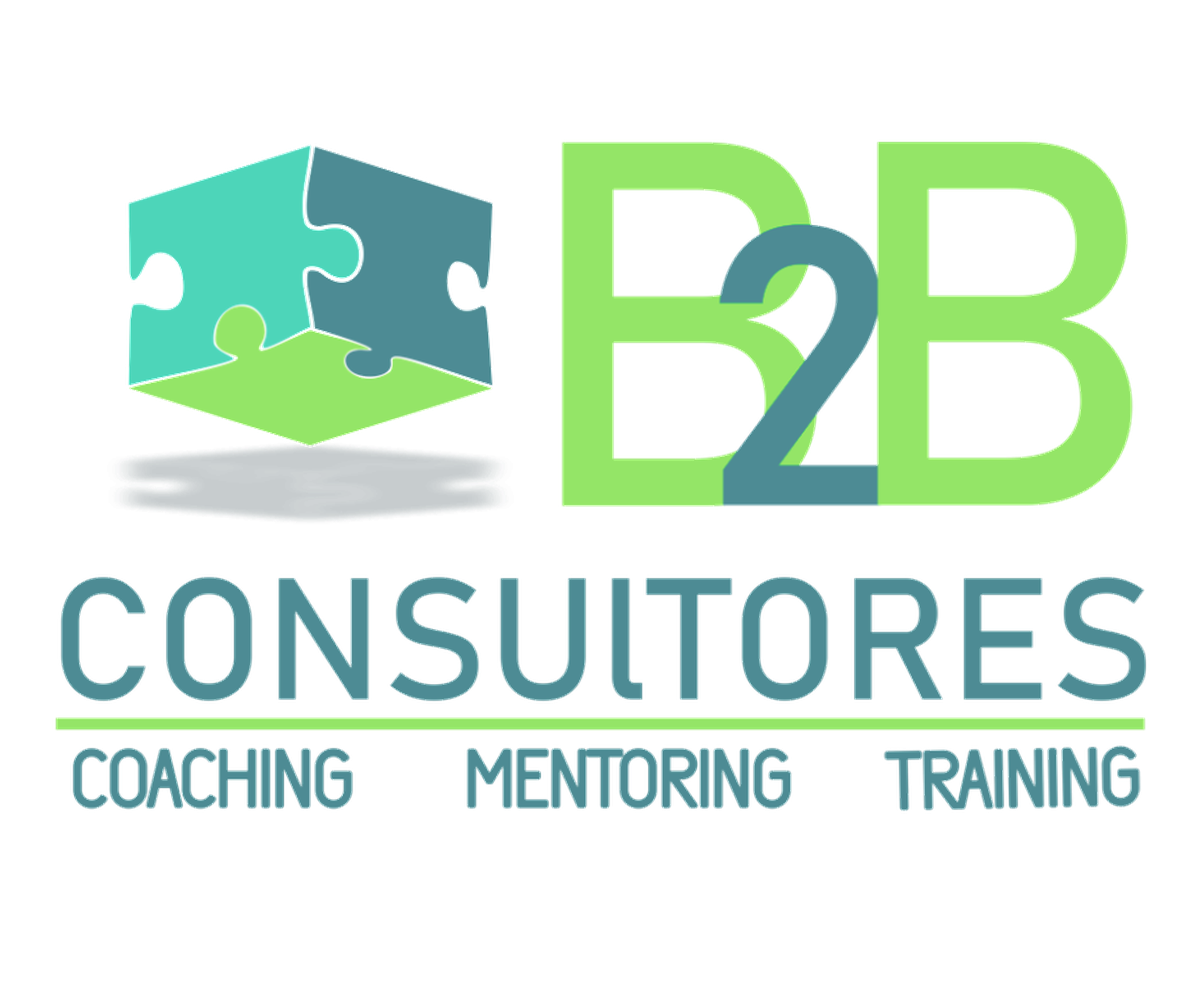 b2bconsultores.mx